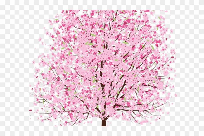 Cherry Tree Clipart Transparent - Cherry Blossom Tree Transparent - Png Download