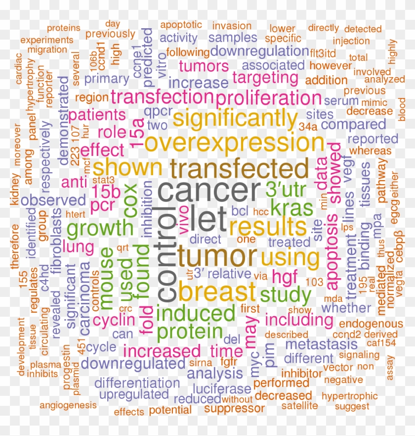 Sort By - Defesa Do Consumidor Clipart #2460868