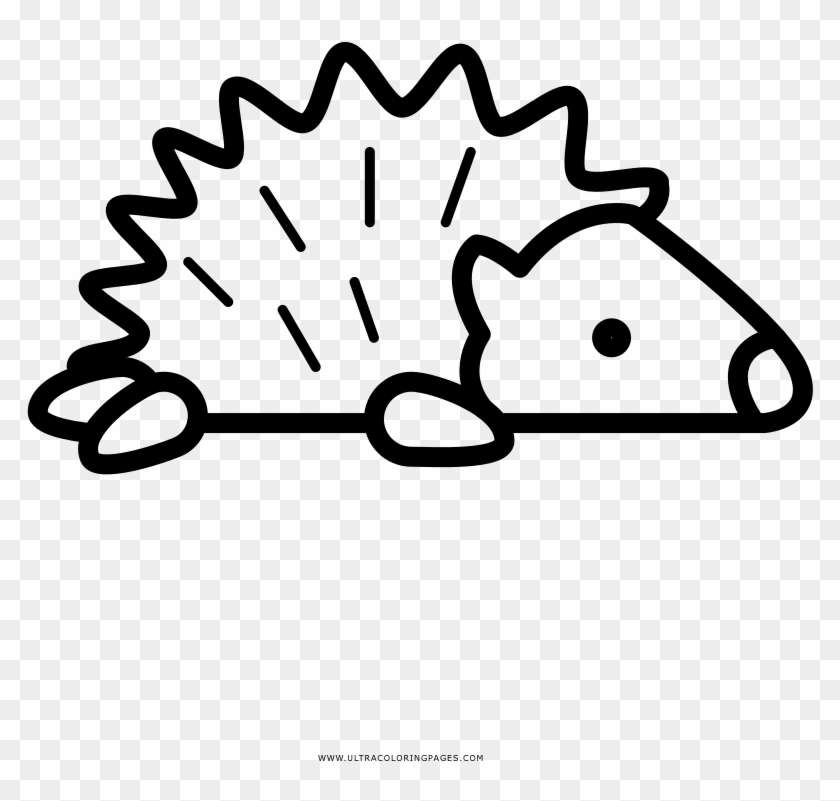Porcupine Coloring Page Clipart