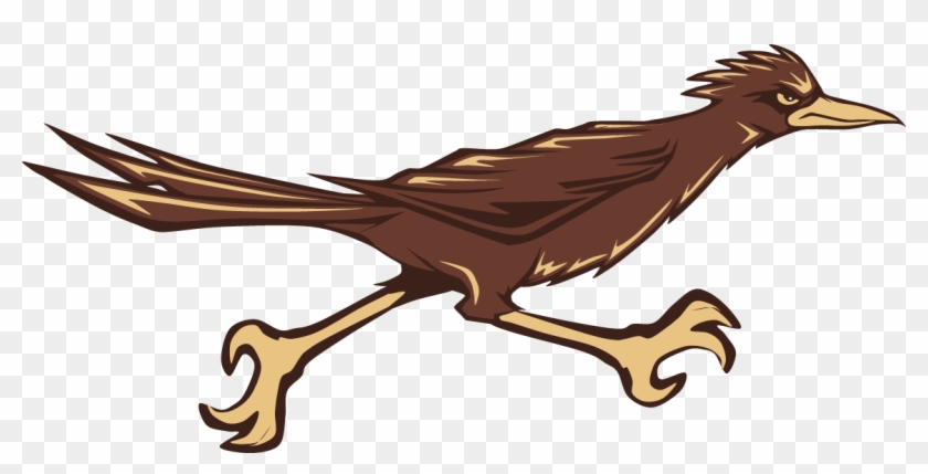 Roadrunner Clipart Rowdy - Roadrunner Logos - Png Download #2461339