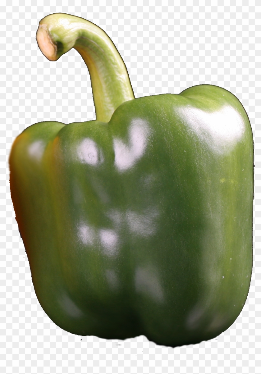 80% Increase In Yield Mass, Compared To Untreated Control - Paprika Clipart #2462844