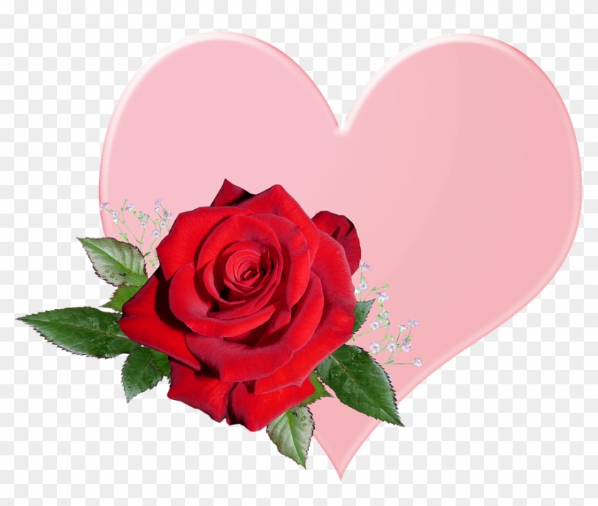 Valentine, Pink, Heart, Romantic - Valentine's Day Clipart