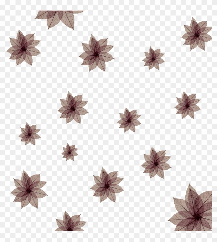 #ftestickers #freetoedit #flower #pattern #dried#freetoedit - Clematis Clipart #2464914