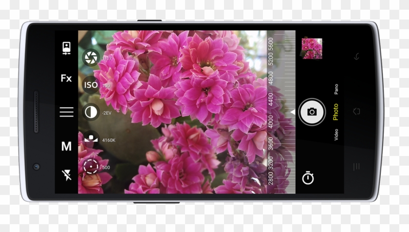 Bacon Camera Is Unique - Camera Manual Controls Android Clipart #2465642