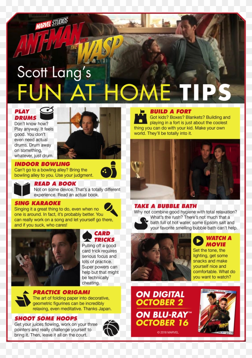 Ant Man And The Wasp Things To Do At Home - Ant-man And The Wasp Clipart #2465865