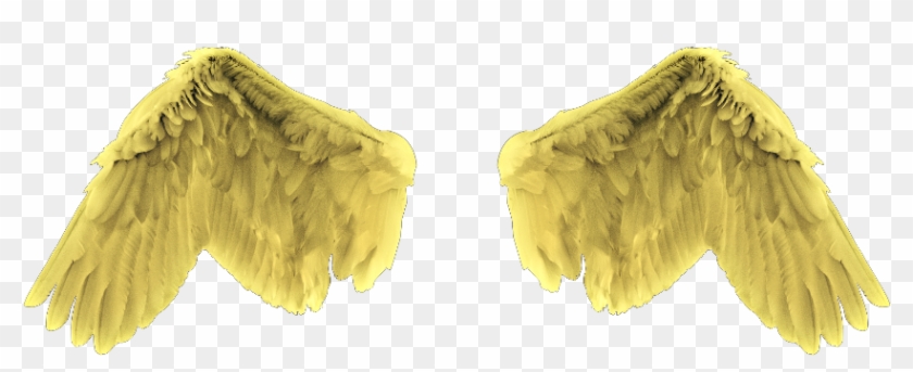 #angel #wings #gold #yellow - Earrings Clipart #2467226