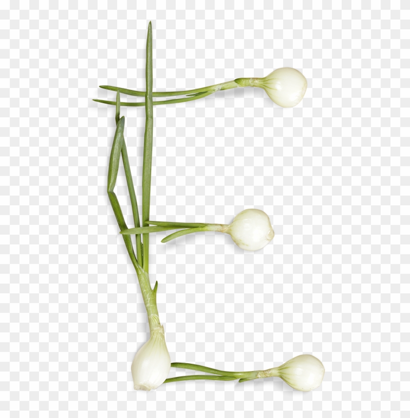 Green Onions Font Letter E - Vegetable Clipart #2467308