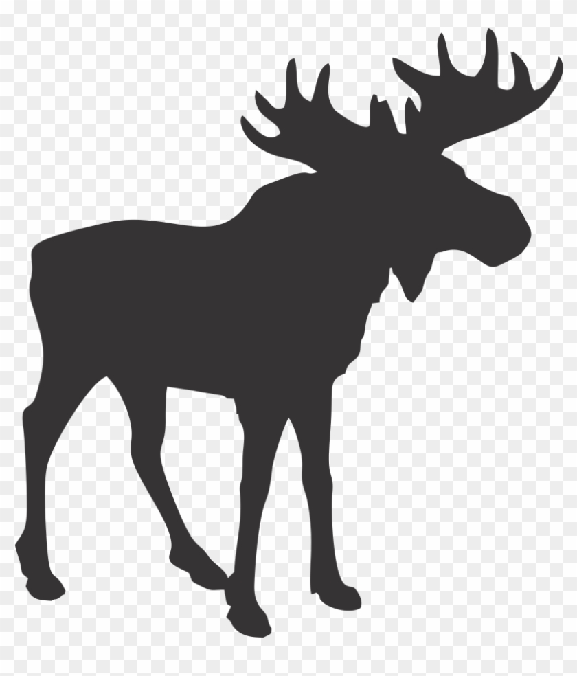 Blue Moose Trading Company - Moose Clipart - Png Download #2468590