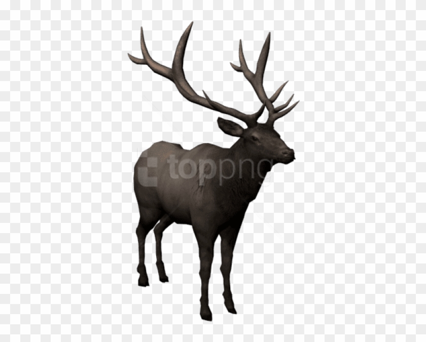 Free Png Download Moose Png Images Background Png Images - Elk Clipart #2468651