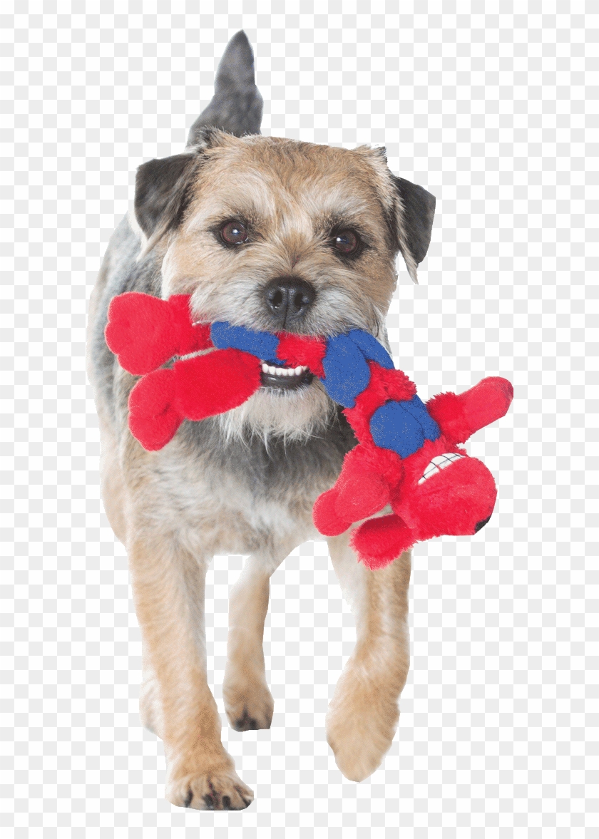 Mammoth® Plush Toys - Morkie Clipart