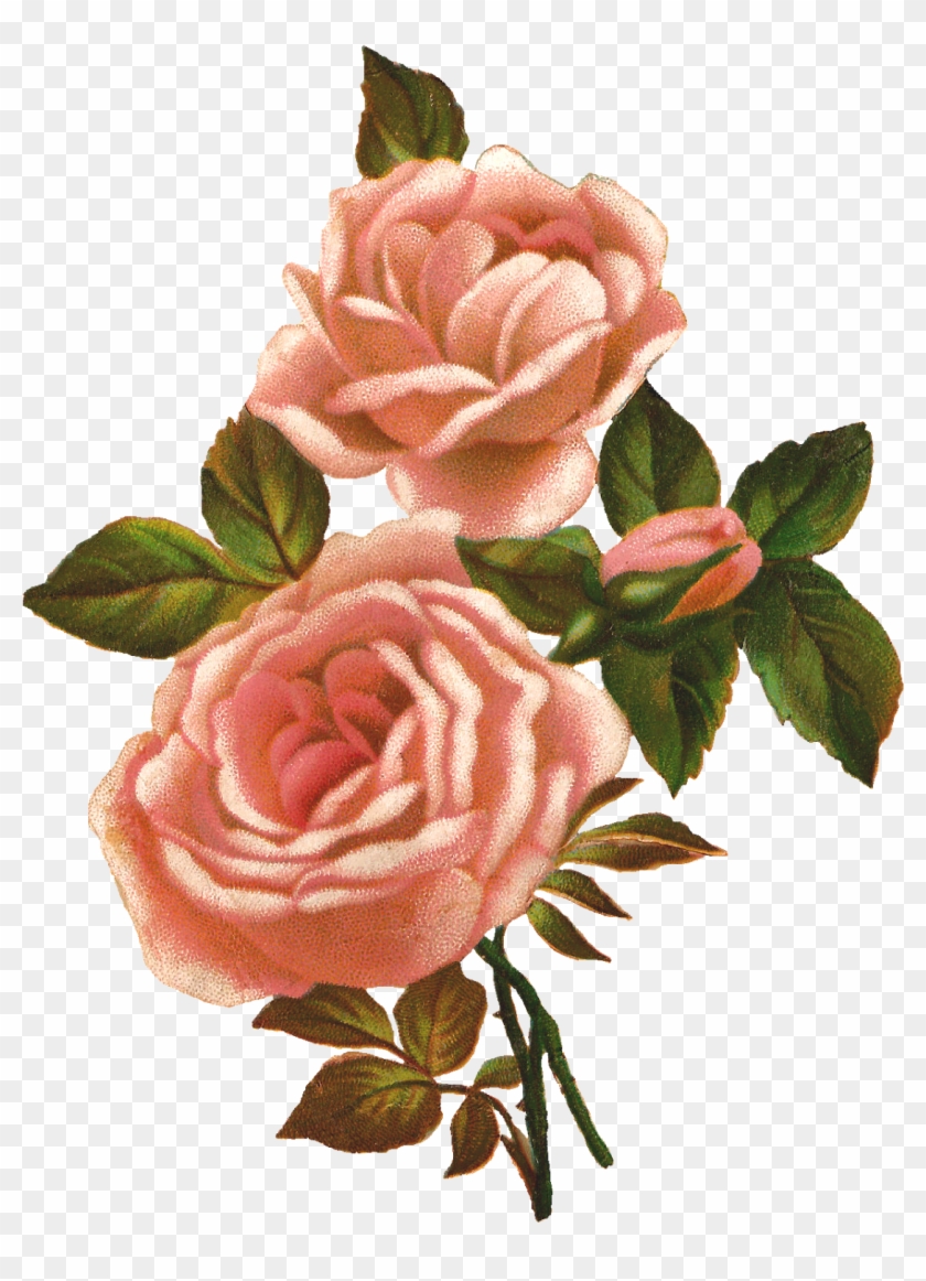 Flower Vintage Cliparts Free Download Best Flower Vintage - Vintage Roses Clip Art - Png Download #2469496