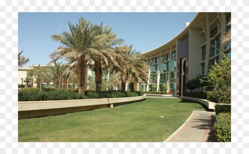 Kff Afu Overview Pho - Estate Clipart