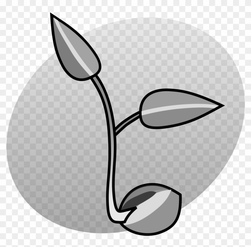 P Seedling Grey Clipart #2470231