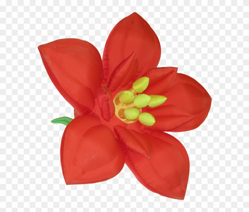Flower - Poinsettia Clipart