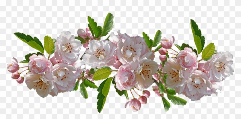Nice Flowers - Garden Roses Clipart #2471214