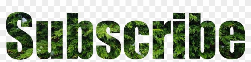 Support Forrest - Grass Clipart