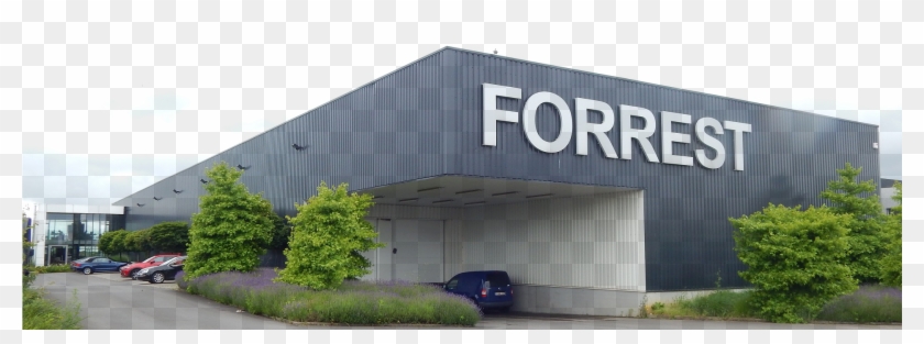 Since 1954, Forrest House Is A Place Of Inspiration - Cartel Prohibido Fumar Para Imprimir Clipart #2471816