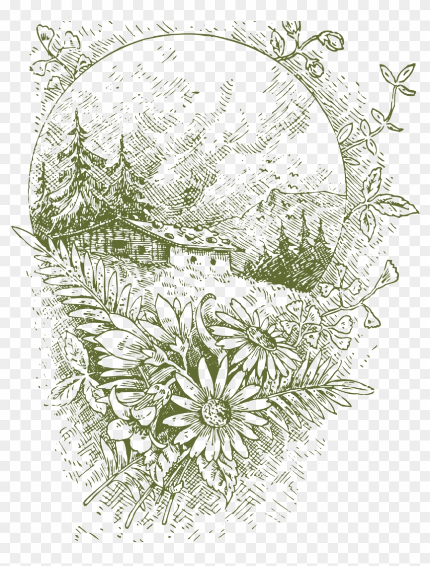 Imagenes Del Medio Ambiente Blanco Y Negro Clipart