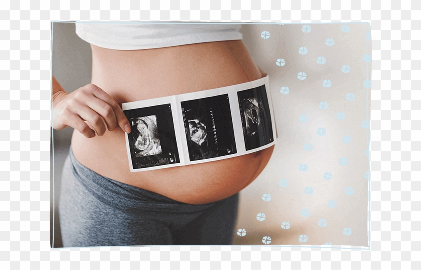 Estimated Weight Gain During Pregnancy - 20 Weken Zwanger Buik Clipart #2472242