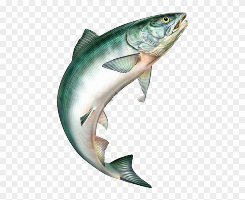 Salmon Jumping Png - Jumping Fish Clip Art Transparent Png