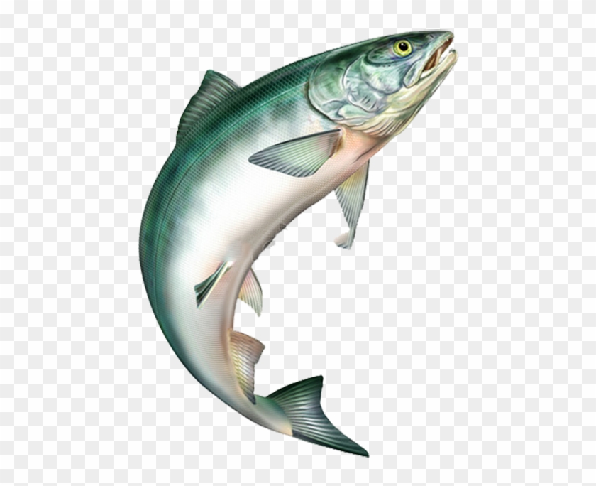 Salmon Jumping Png - Jumping Fish Clip Art Transparent Png #2473799