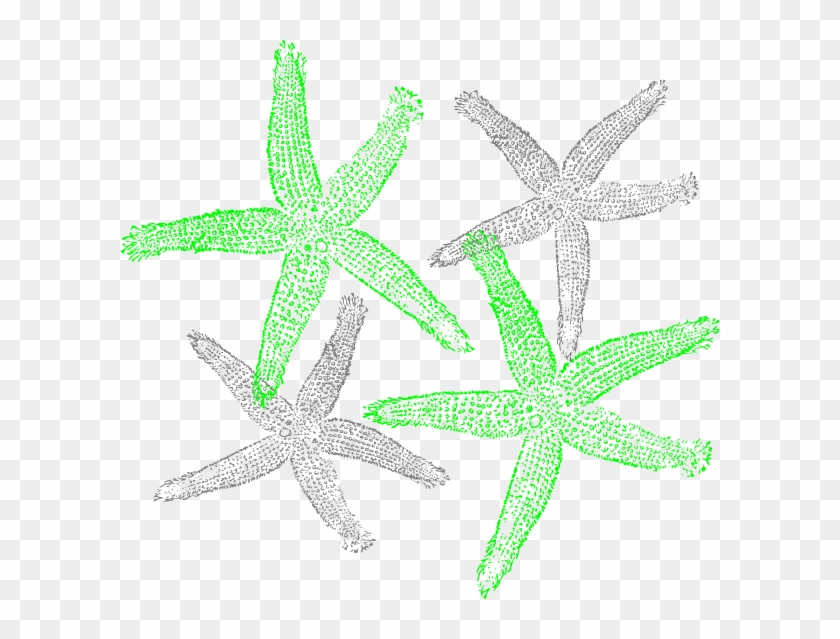 Starfish Prints Png - Clip Art Transparent Png