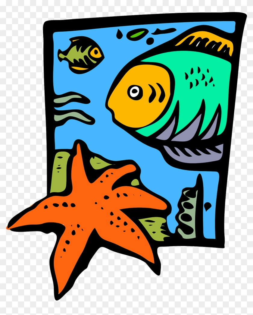 Sea Life Marine Animal Starfish Png Image - Clip Art Marine Biology Transparent Png #2475191
