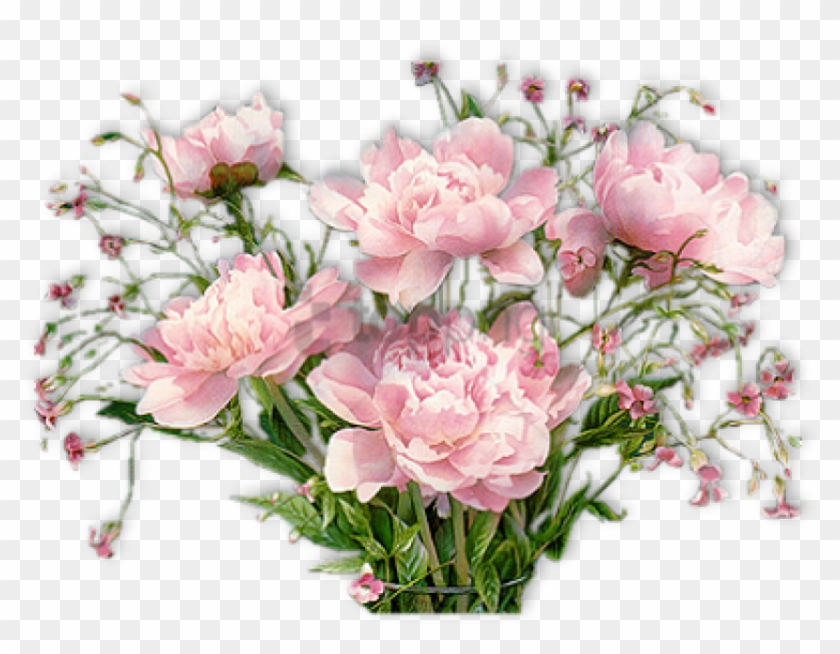 Free Png Pivoines - Flowers With Good Afternoon Clipart