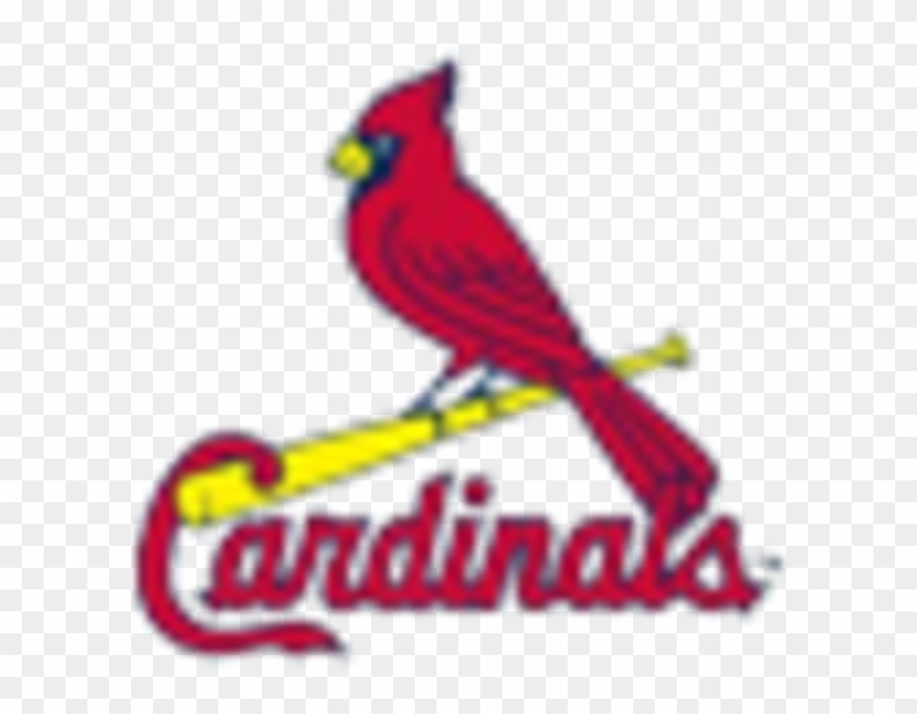 St Louis Cardinals Clipart