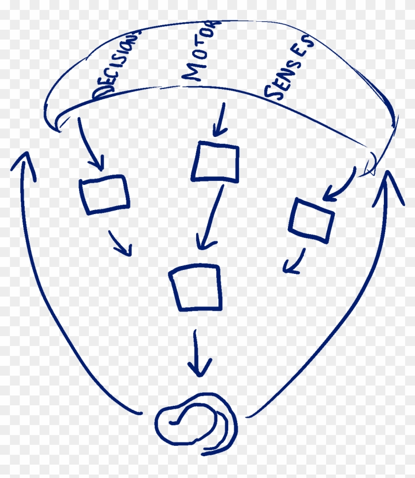 At The Bottom Of The Basal Ganglia, There's A Structure - Line Art Clipart