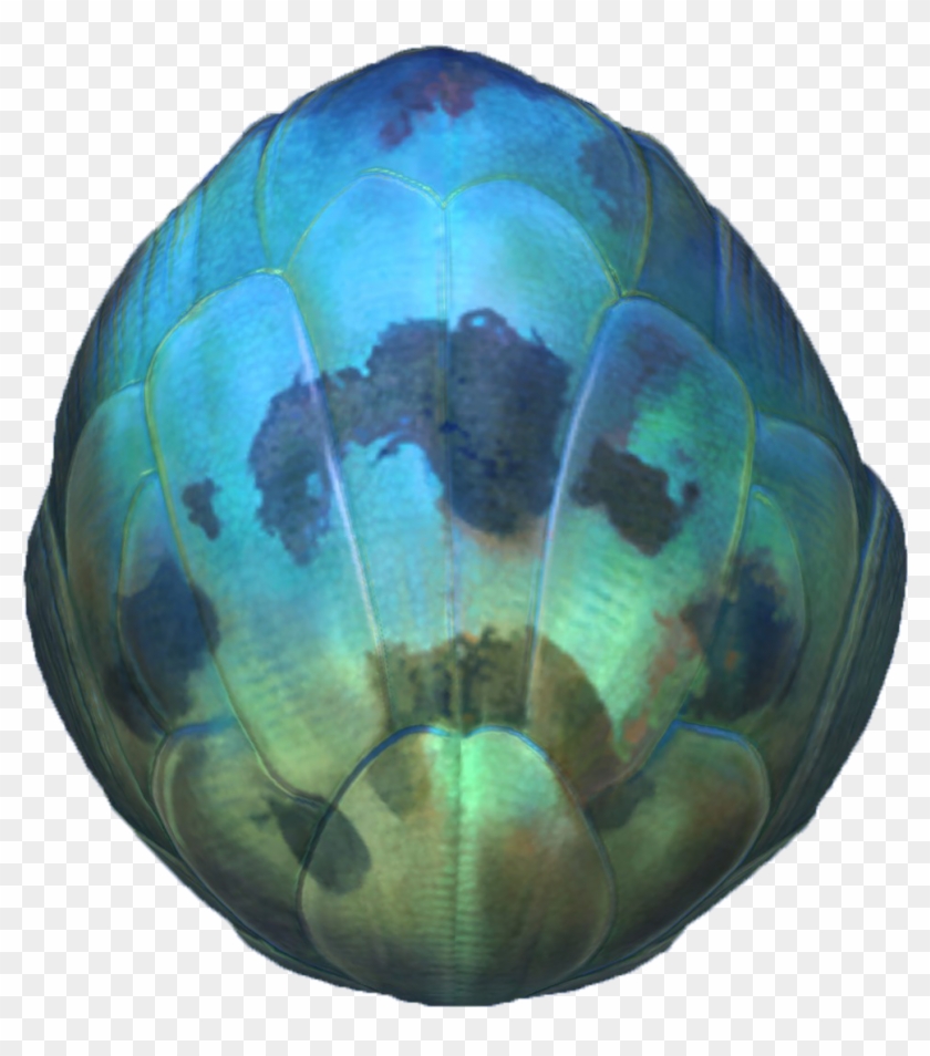 Subnautica Logo Png Clipart #2483968