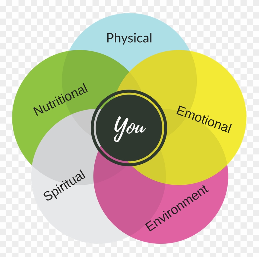 Discover - Circle Clipart