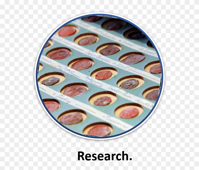 Due To The Expertise Of Over 45 Years, Pro Heraldica - Your Church Needs You Clipart