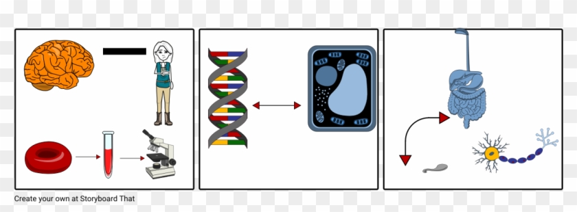 Biology Clipart #2487586