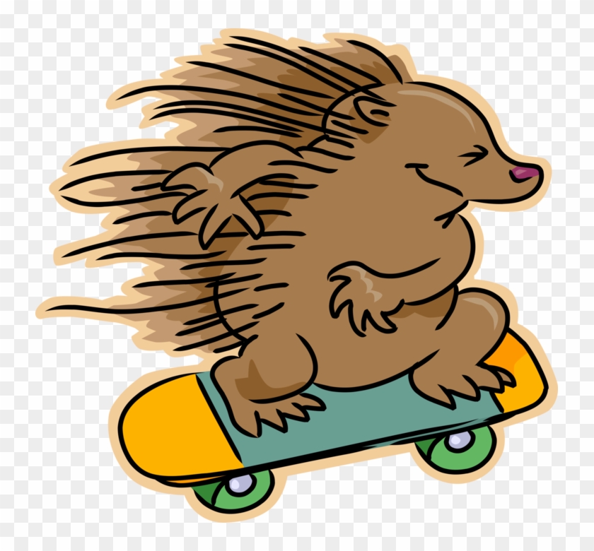 Vector Illustration Of Hedgehog Skateboarder Skateboarding - Hedgehog Clip Art - Png Download #2487914