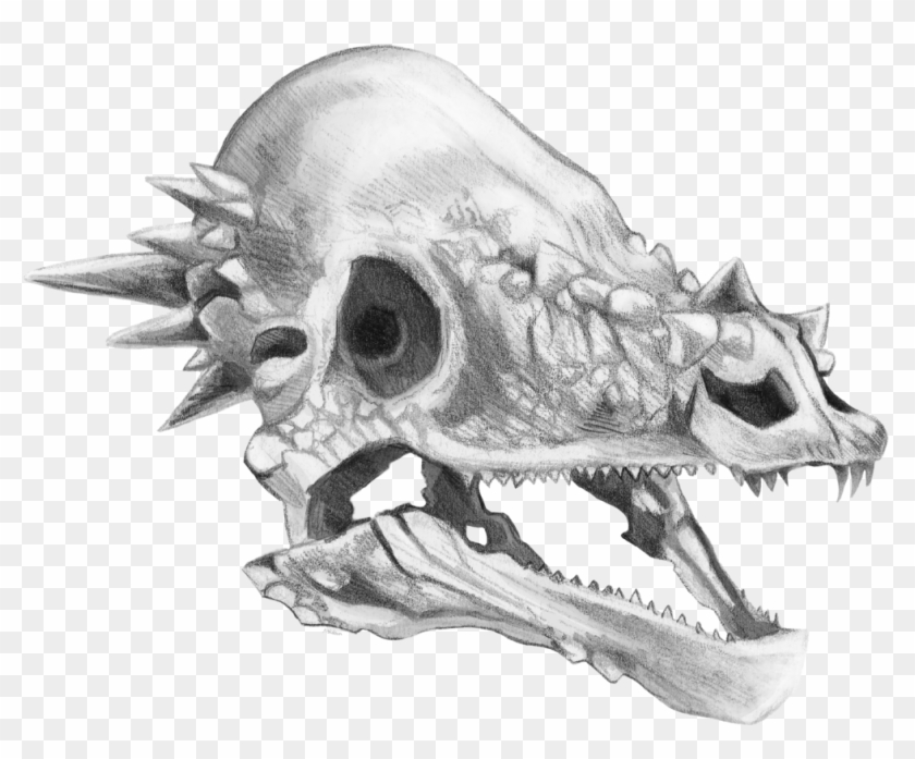 Dragonborn-png 284244 Clipart