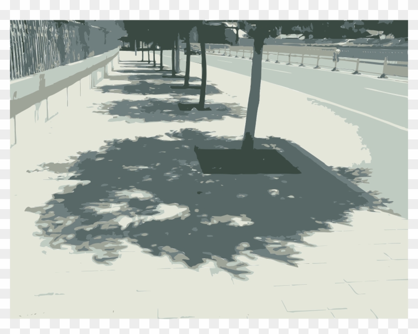 This Free Icons Png Design Of Tree Shadows Caochangdi - Big Tree Shadow Png Clipart