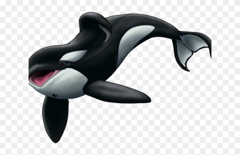 Keiko Orca Png Clipart #2489870