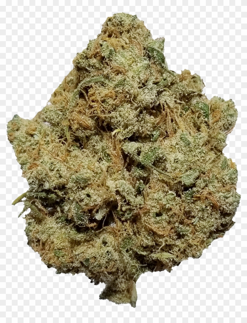 Dogwalker Og - Og Strain Clipart