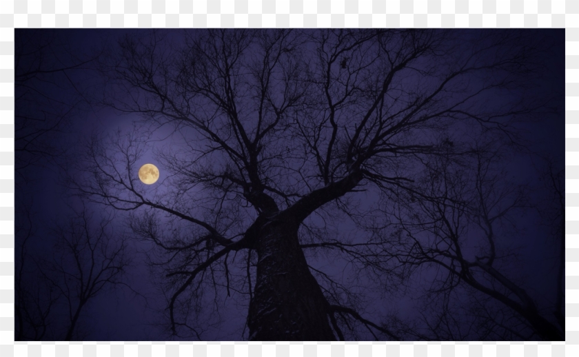 Score 50% - Full Moon Clipart