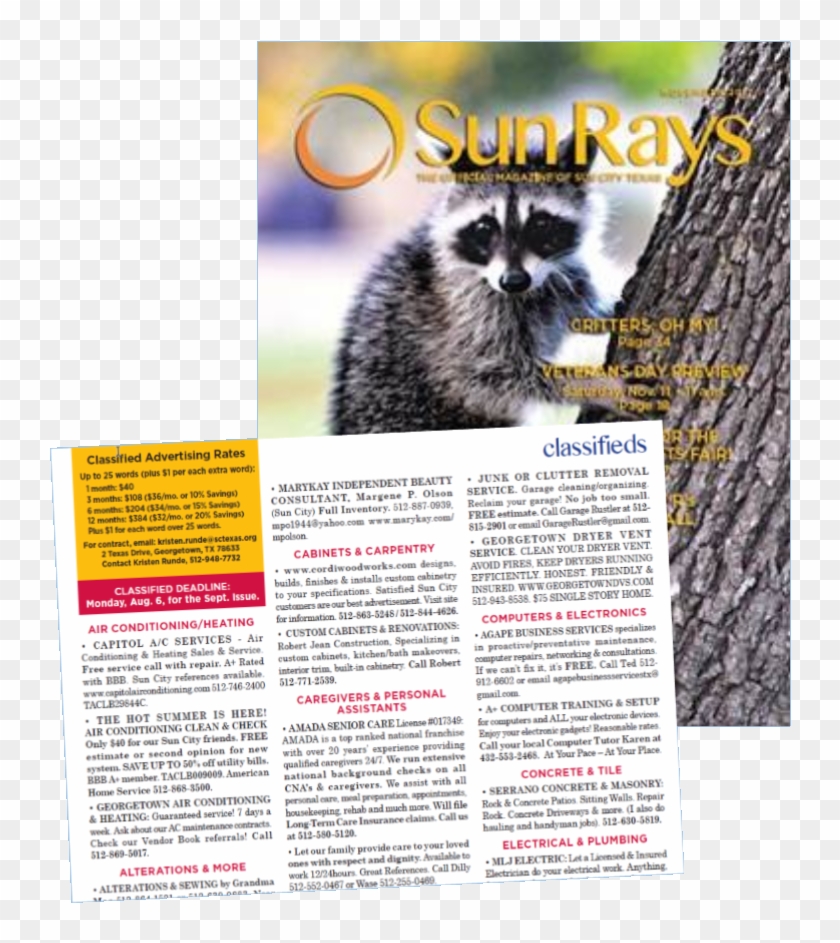 Why Do You Need A Sun City Texas Classified Ad - Procyon Clipart #2492070