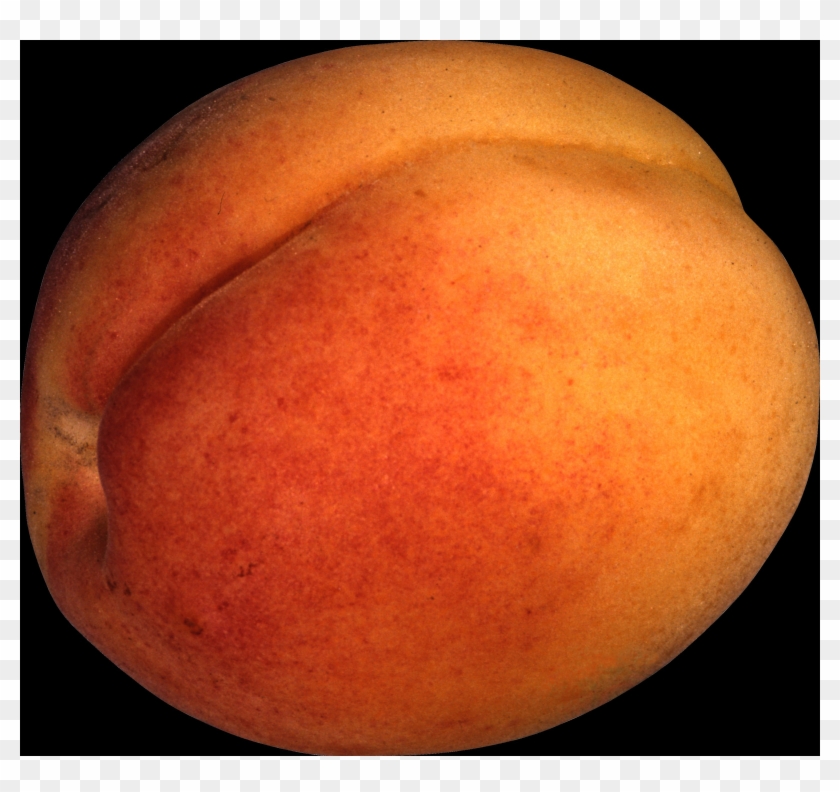 The Peach Is Classified With The Almond In The Subgenus - Peach Clipart