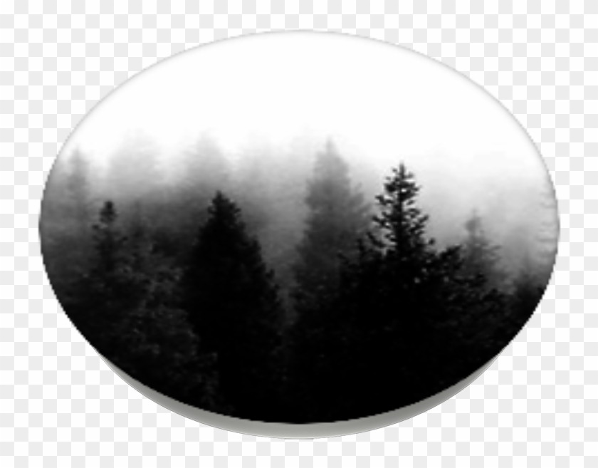 Dark Forest, Popsockets - Christmas Tree Clipart