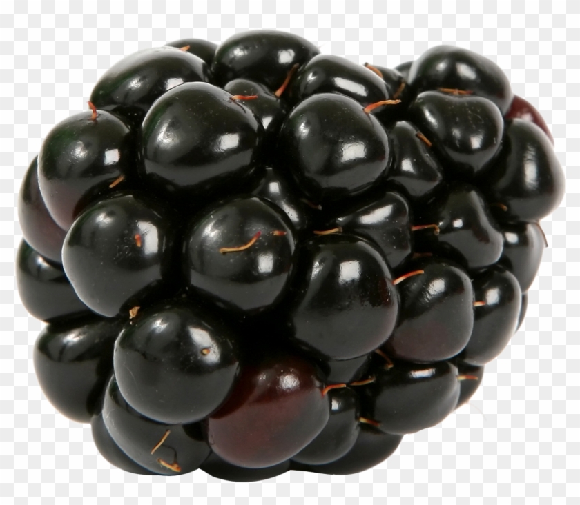 Blackberry Png - Single Blackberry Png Clipart