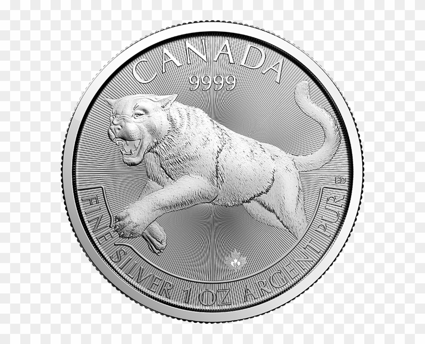 1sco16 Obverse - Silver Clipart