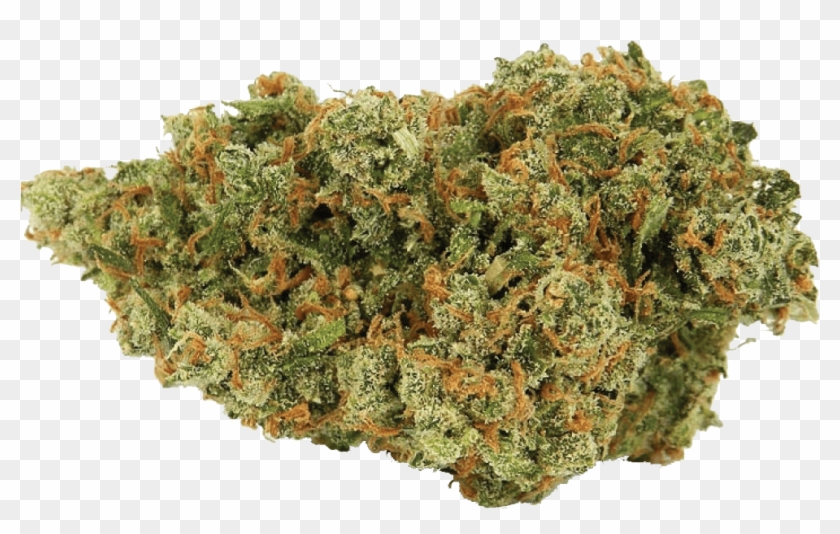 Jack Herer Cannabis Nug - Sativa Strain Clipart