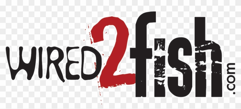 Wired Logo Png - Illustration Clipart #2496851