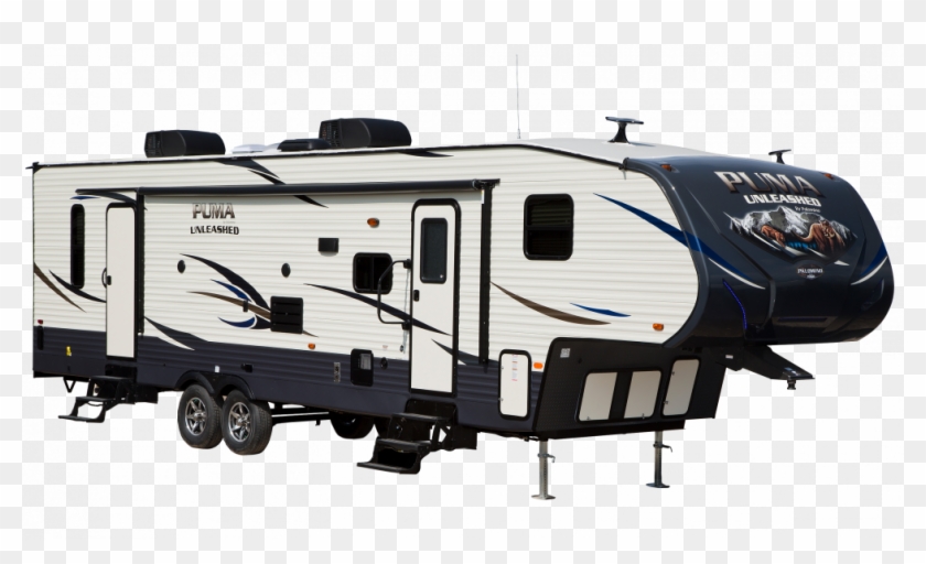 Palomino Puma Unleashed Dealer - 2015 Puma Palomino Png Clipart #2497522