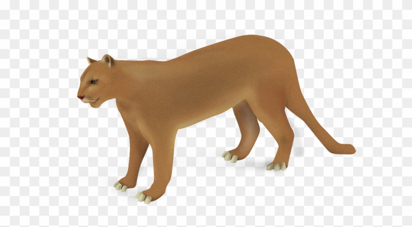 Puma - Lion Clipart #2497557