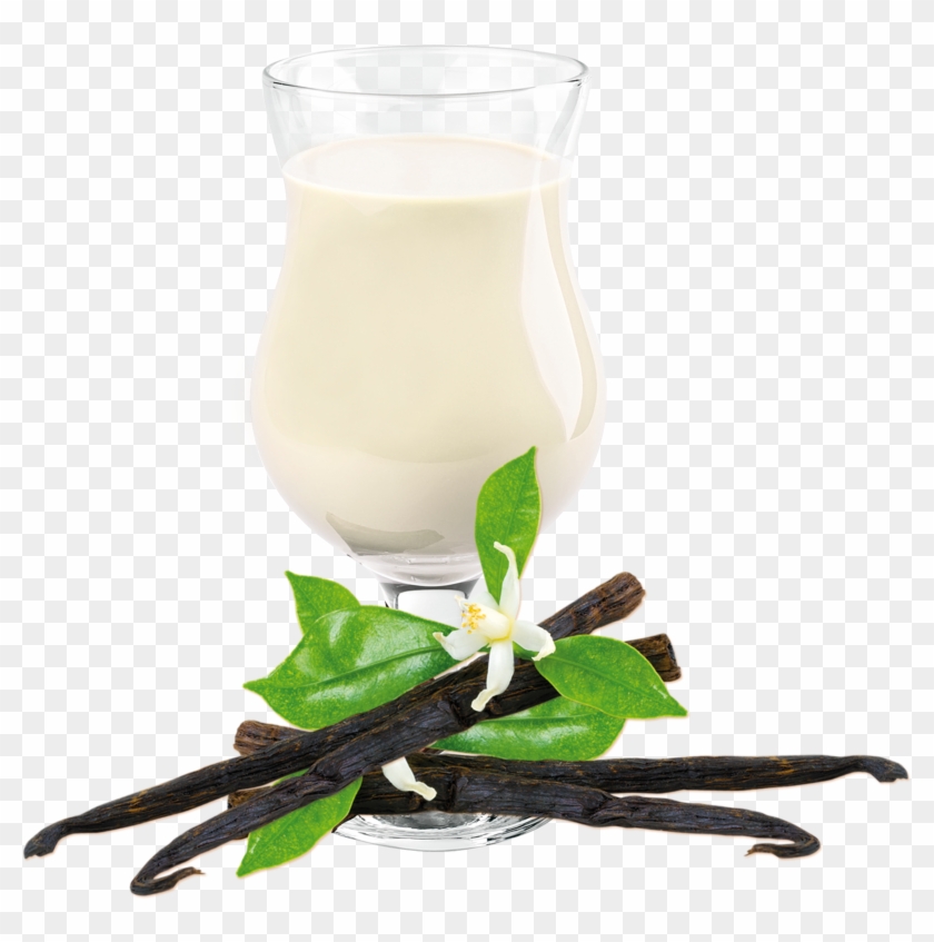 Vanilla Shake Drink Mix - Ideal Protein Vanilla Clipart #2497638
